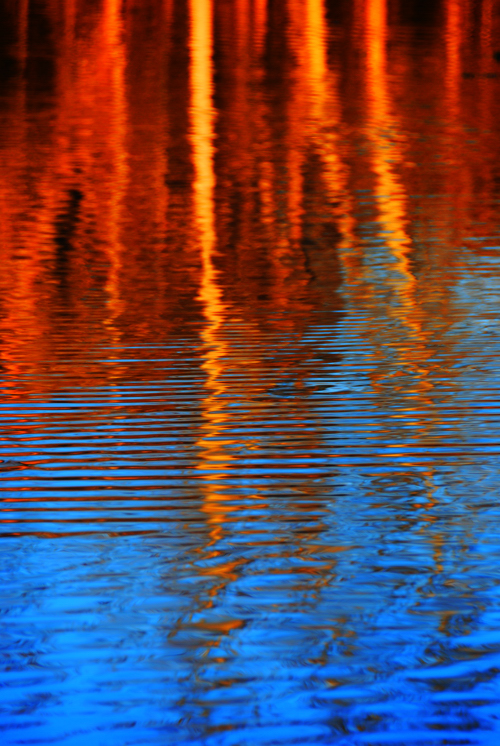 Reflections by
Daniel Allen Frost Reflections by Daniel Allen Frost